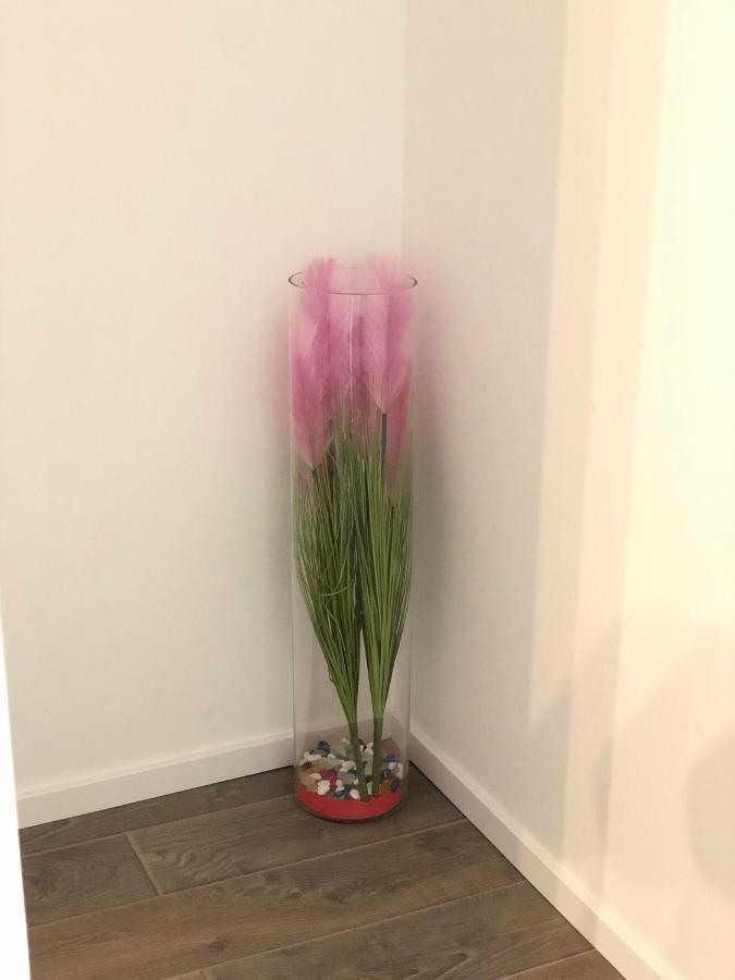 Apartman Ana Apartment *